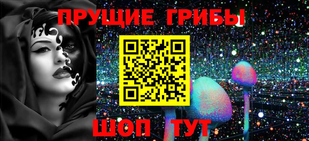 Чайковский  Галлюциногенные грибы Cubensis  Псилоцибиновые грибы GOLDEN TEACHER  Вход с VPN 