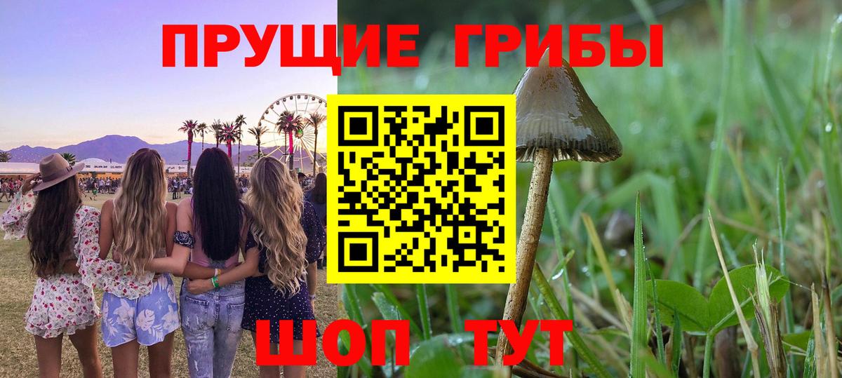 Галлюциногенные грибы Magic Shrooms Чайковский